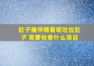 肚子痛伴随着呕吐拉肚子 需要检查什么项目